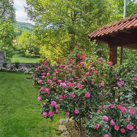 Apartment Relax House Sarajevo